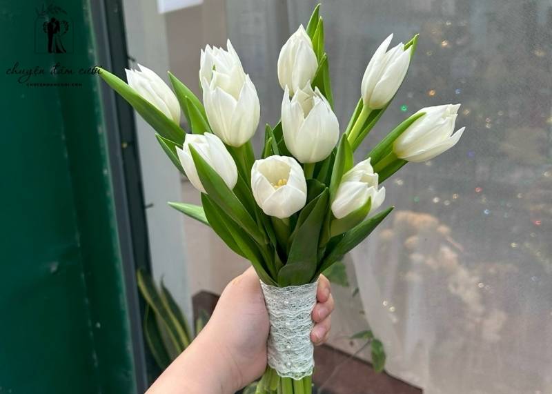 Những đóa hoa tulip cầm tay cô dâu mang theo thông điệp của sự chân thành, tình yêu vững bền 